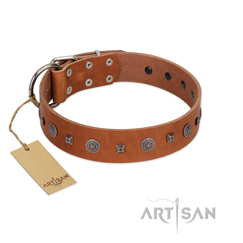 "Sweet Caramel" Designer FDT Artisan Tan Leather Doberman Collar