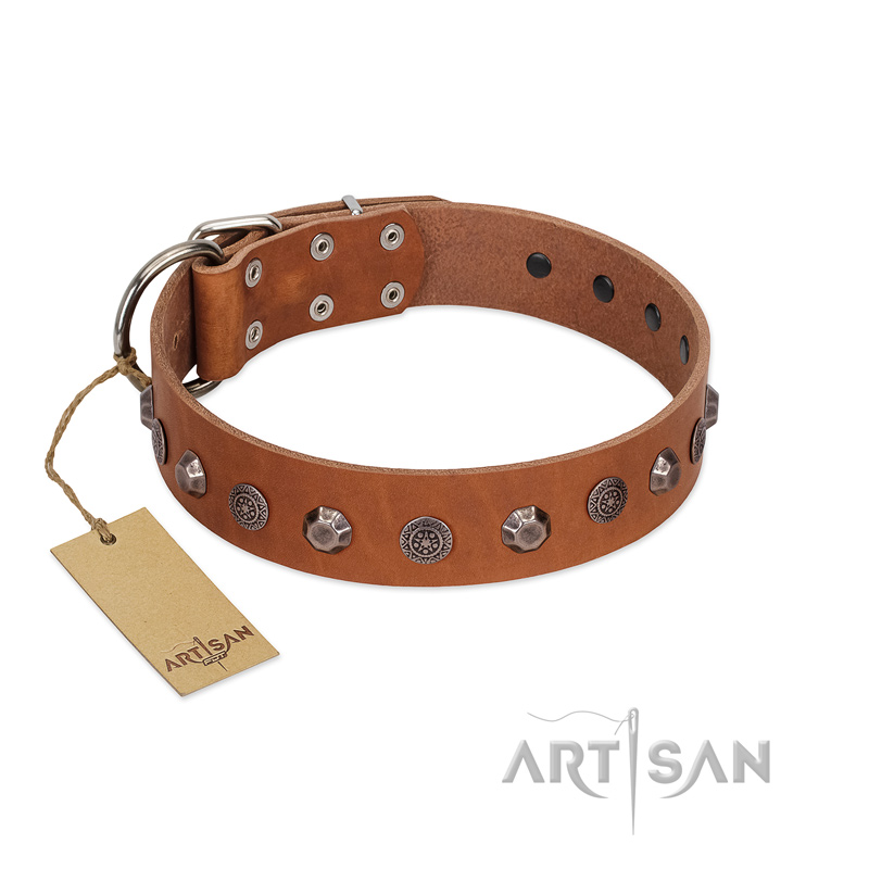 "Silver Age" Fashionable FDT Artisan Tan Leather Doberman Collar with Silver-Like Studs
