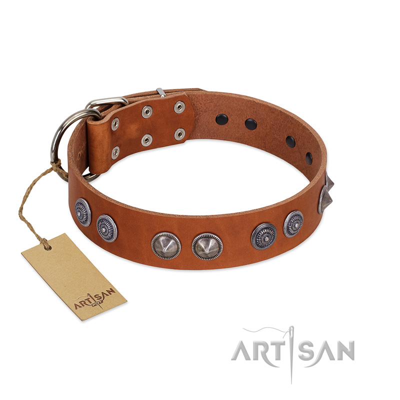 "Silver Necklace" Incredible FDT Artisan Tan Leather Doberman Colar with Silver-Like Adornments