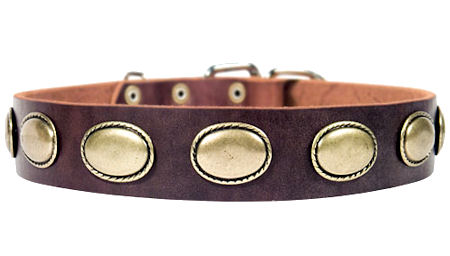 High Quality Leather Dog Collar for Doberman
