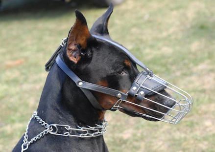 Wire Basket Dog Muzzle for Doberman-Cage basket muzzles