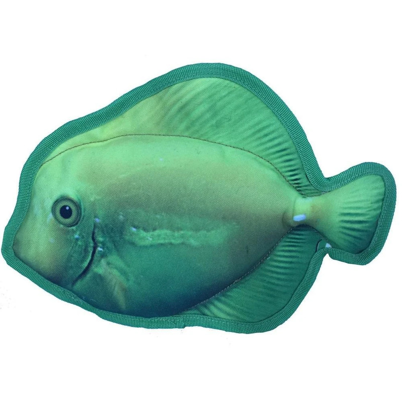 11" Tropical Surgeonfish - Click Image to Close
