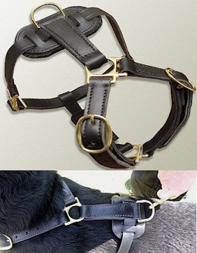 Fashion Leather tracking harnesses for Doberman