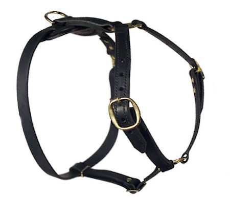 SENSATION Dog Harness for Doberman walking - Click Image to Close