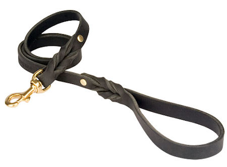 Looking for PETCO Twisted Leather Lead for Doberman?