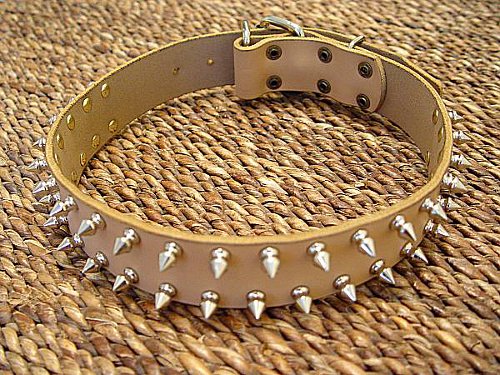 Dobie spiked leather dog collar- Doberman Pinscher dog collar
