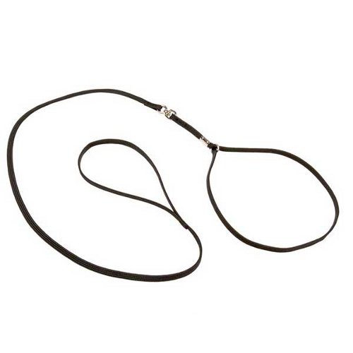 Nylon collar & leash combo for Doberman