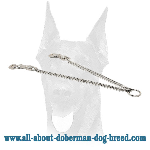 Doberman chain coupler for walking two dogs simultaneously