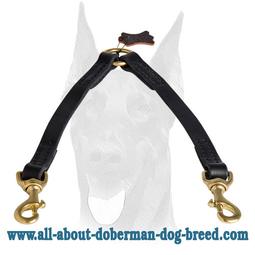 Carefully stitched Doberman leash coupler