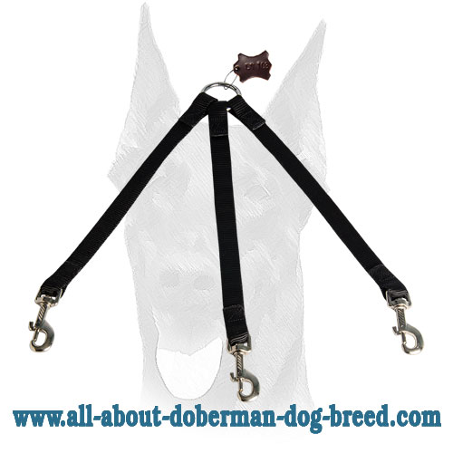Doberman leash coupler for easy walking