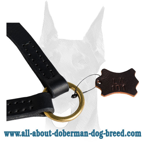 Doberman leash coupler with O-ring