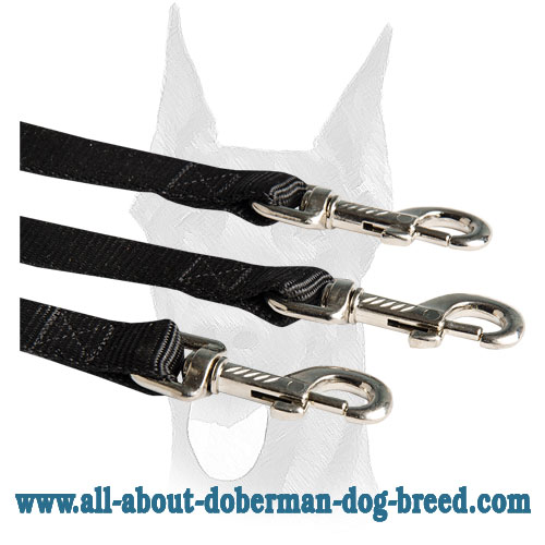 Doberman leash coupler with reliable snap hooks