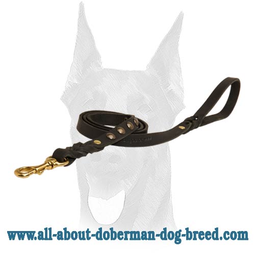 Reliable Doberman leash