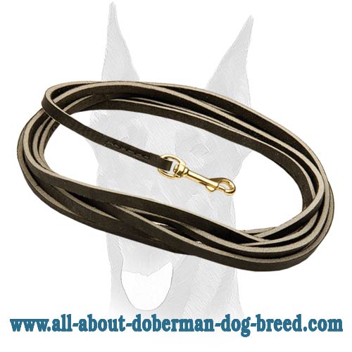 Tracking and training Doberman leash