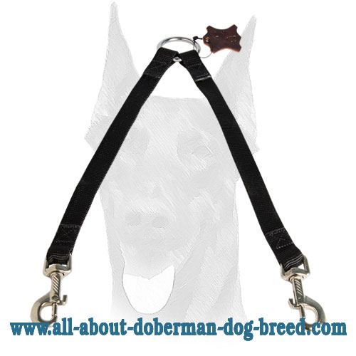 Strong coupler for walking two Dobermans