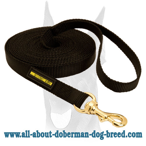 Tracking and training Doberman leash