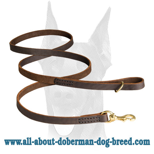Leather Doberman leash with soft handle