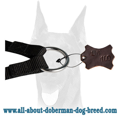 Nylon leash coupler for Doberman