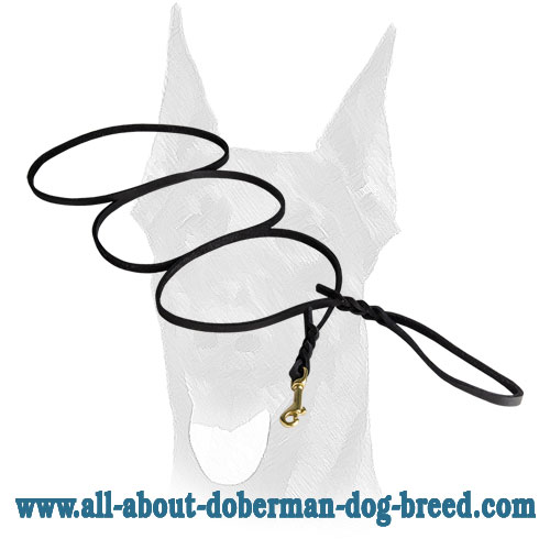 Elegant leather Doberman leash