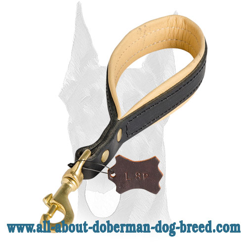 Royal Nappa padding for Doberman leash