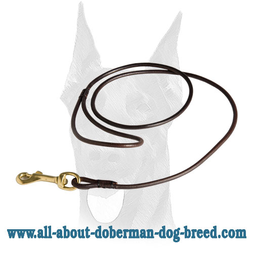 Comfy handle for Doberman round leash
