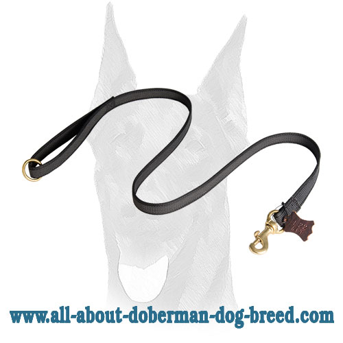 Nylon Doberman leash for training