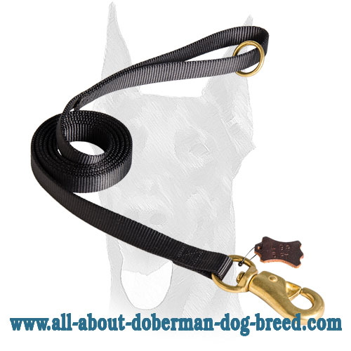 Nylon Doberman leash with comfy handle