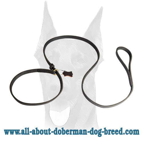 Combination of leather leash & collar for Doberman