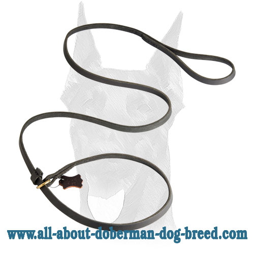 Leather Doberman leash/collar with special stopper