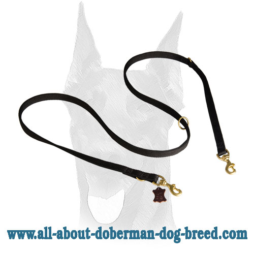 Multimode nylon Doberman leash with brass snap hooks and three O-rings