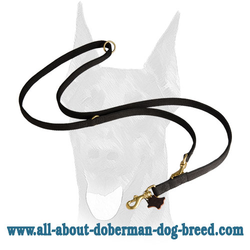 Durable stitched nylon Doberman leash