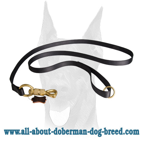 Strong nylon leash with brass smart lock for Doberman