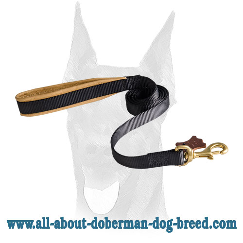 Durable stitched nylon leash for Doberman