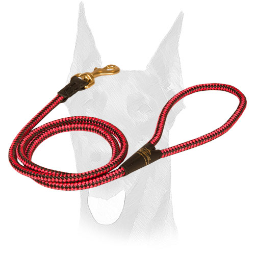 Durable nylon cord leash for Doberman