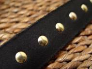 leather spiked dog collar closeup