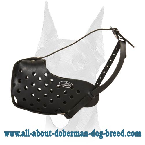 Completely safe adjustable Doberman muzzle