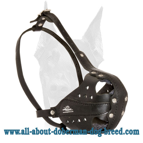 Comfort leather muzzle