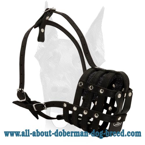 Comfortable lightweight Doberman muzzle