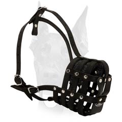 Multifunctional leather muzzle