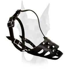 Comfortable leather muzzle