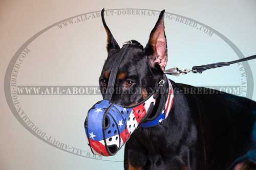 Handpainted American Pride leather Doberman muzzle