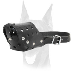 Adjustable leather Doberman muzzle