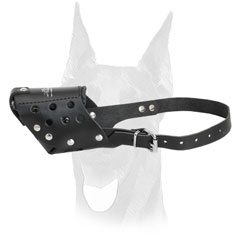 Safe Doberman muzzle