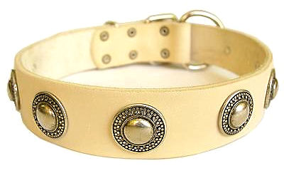 Deluxe Leather Dog Collar with jewelry for Doberman