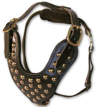 Stud Dog Harness for Doberman -2 ply leather HARNESS