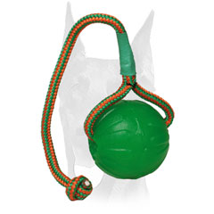 Doberman rubber chew ball