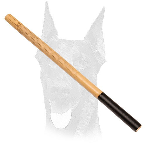 Doberman Bamboo stick for training