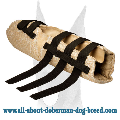 Doberman bite sleeve adjustable