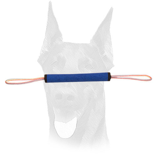 Play roll for Doberman