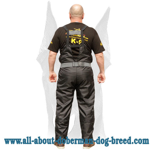 Scratch pants for Doberman training